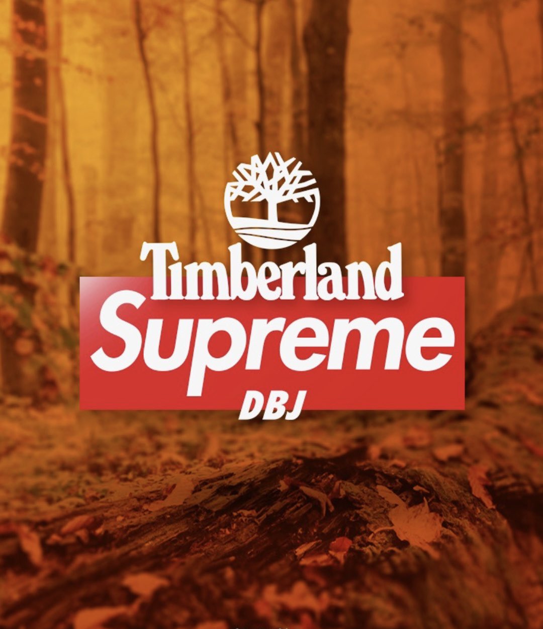 Supreme × Timberland が今週発売予定