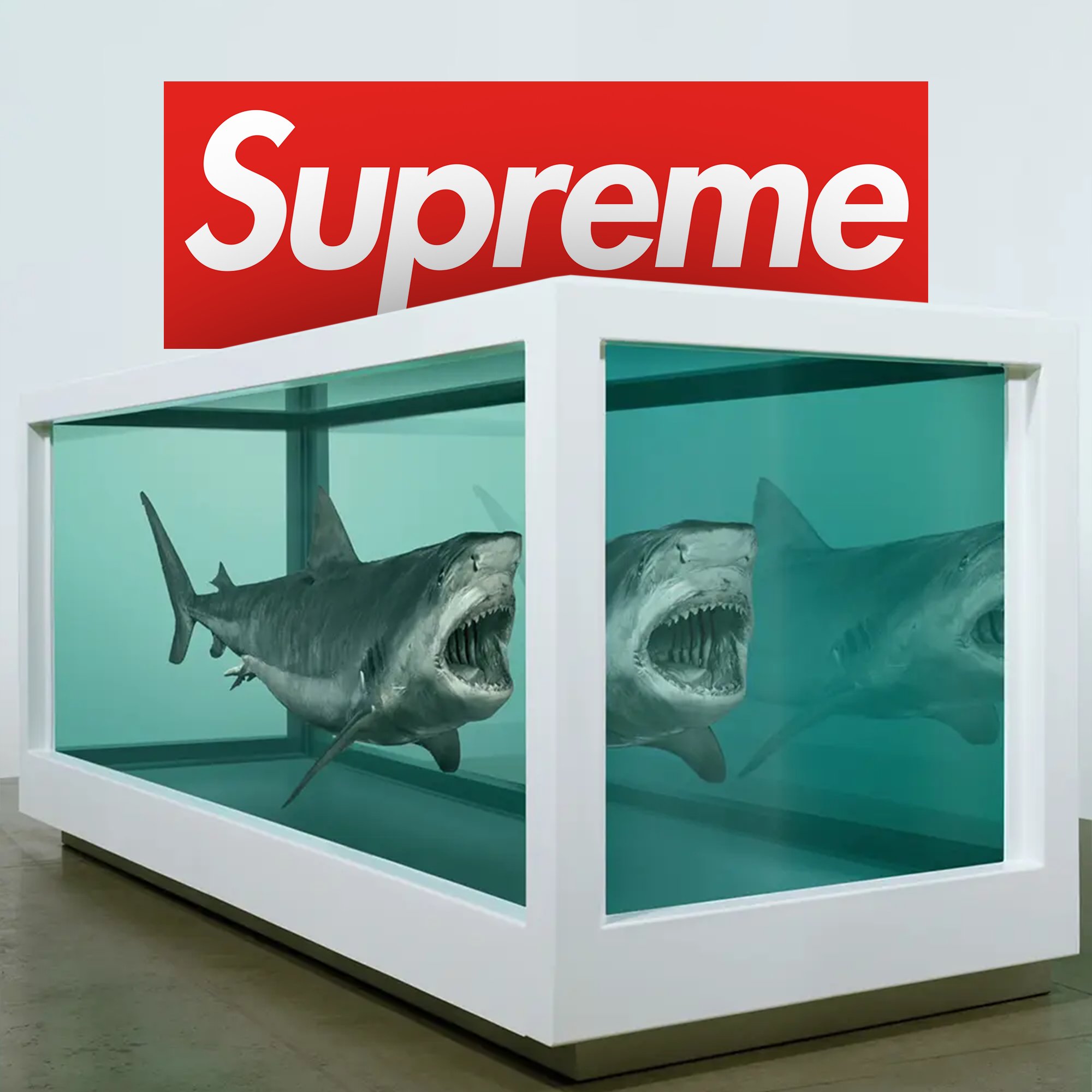 Supreme × Damien Hirst が約16年ぶりに復活