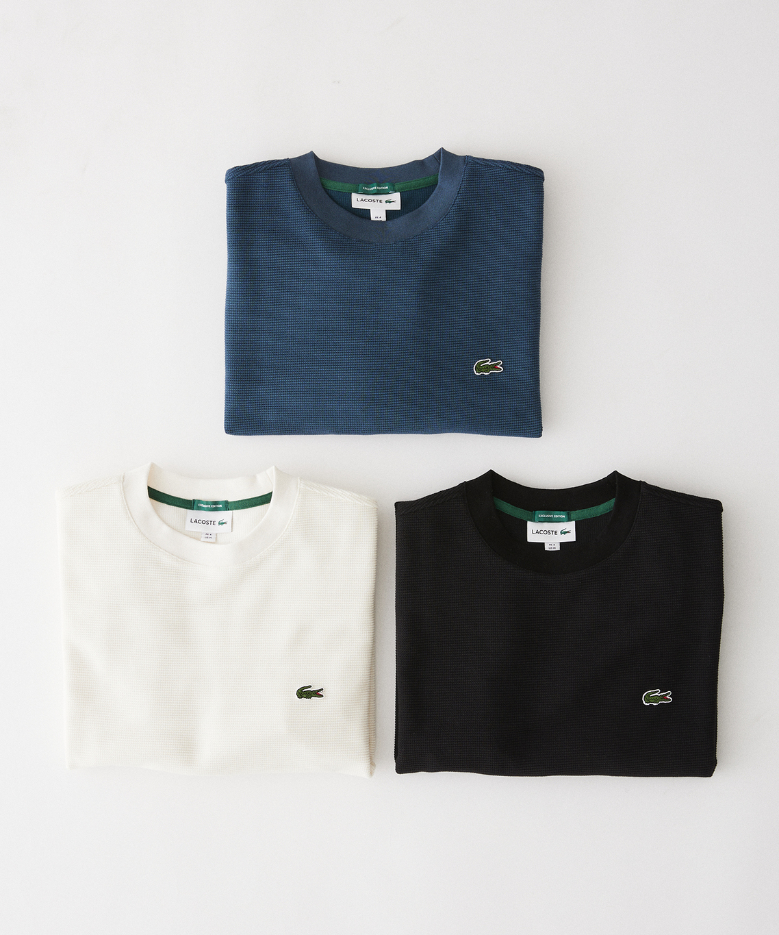 JOURNAL STANDARD relume から LACOSTE の別注ロンTが発売