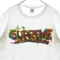 Supreme の Paint Logo Tee が発売