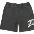 Stüssy の INTL Sweat Short が発売
