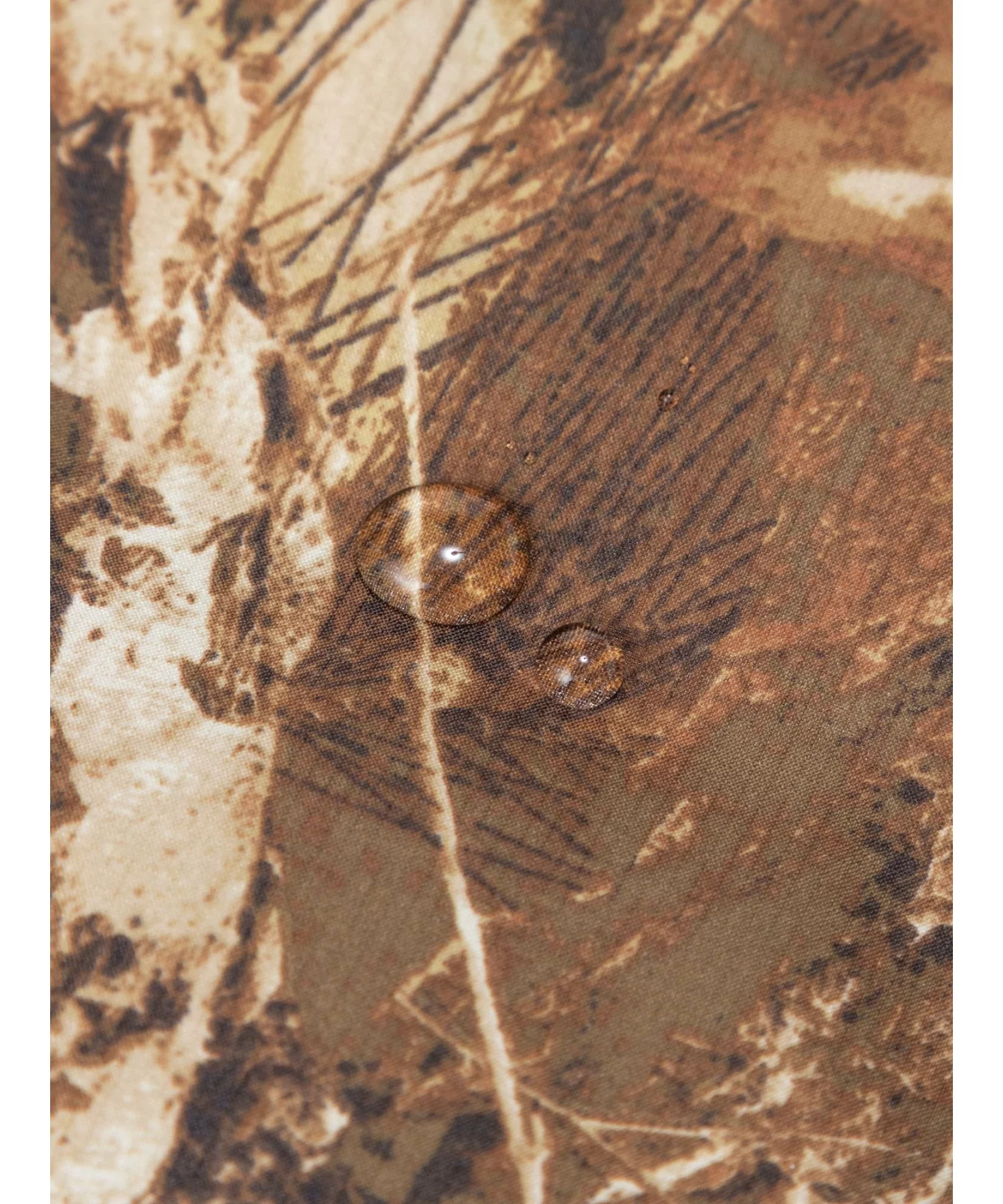 THE NORTH FACE NOVELTY BALTRO LIGHT JACKET “Forest Floor” の先行予約が開始