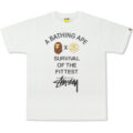 Stüssy × BAPE® の Survival of the Fittest Tee が発売