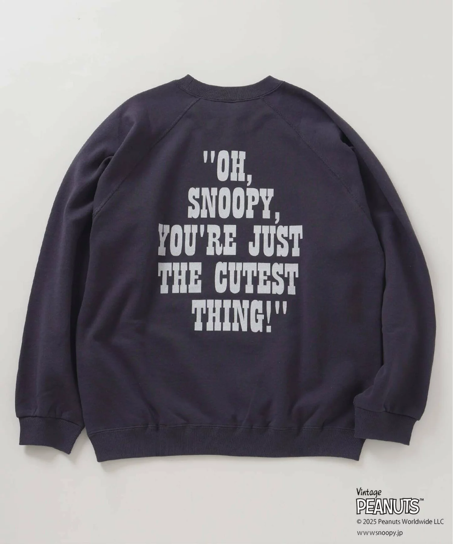 JOURNAL STANDARD relume × PEANUTS の FANTASY A&G INC Print Sweat が発売