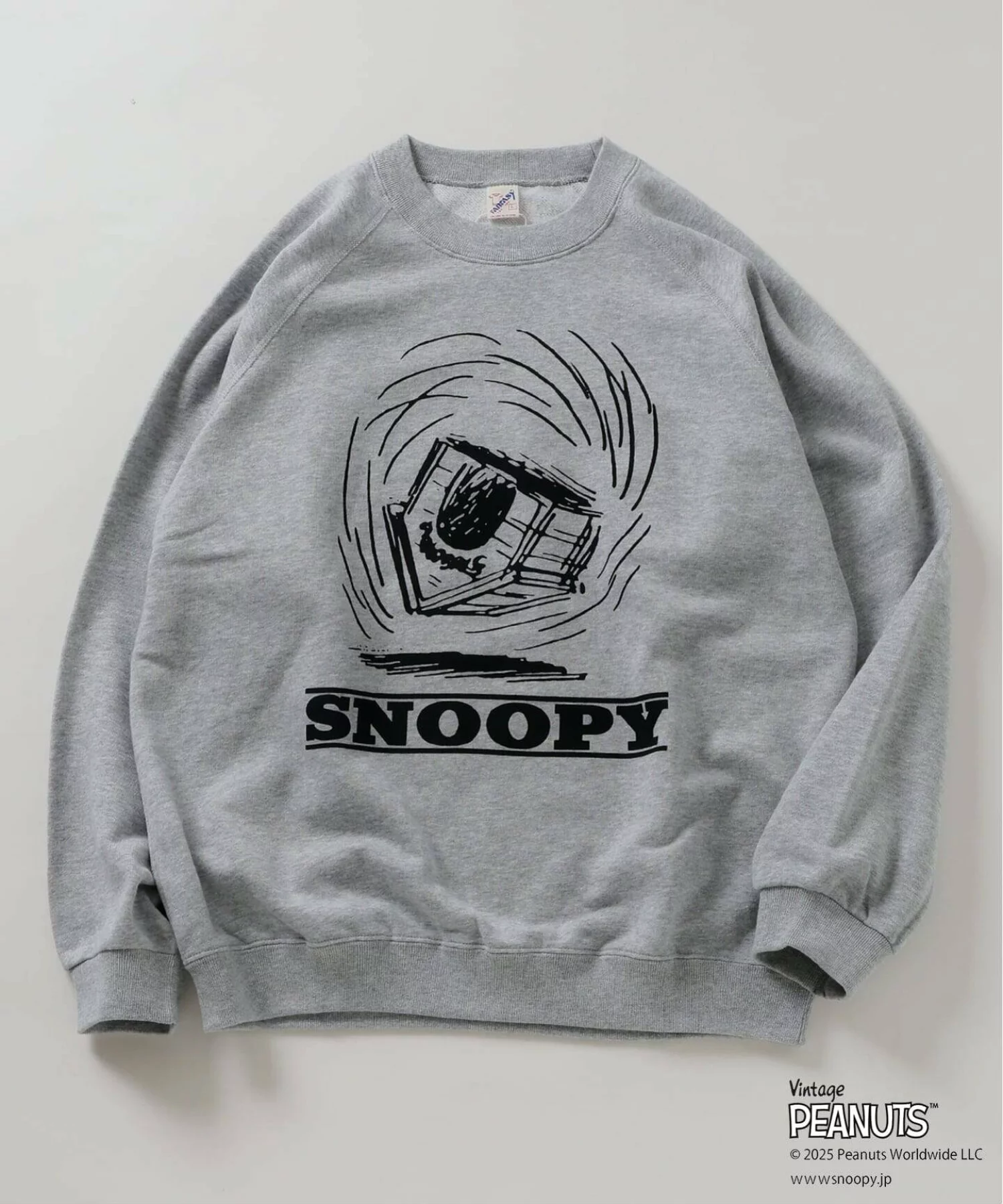 JOURNAL STANDARD relume × PEANUTS の FANTASY A&G INC Print Sweat が発売
