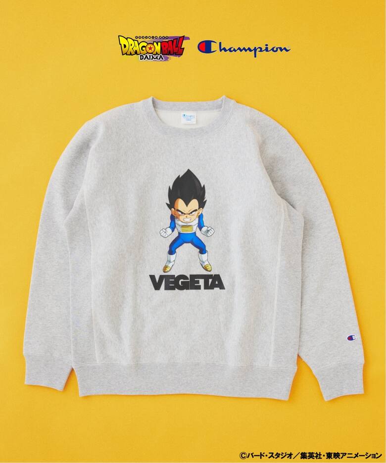 JOURNAL STANDARD × Champion × DRAGON BALL DAIMA