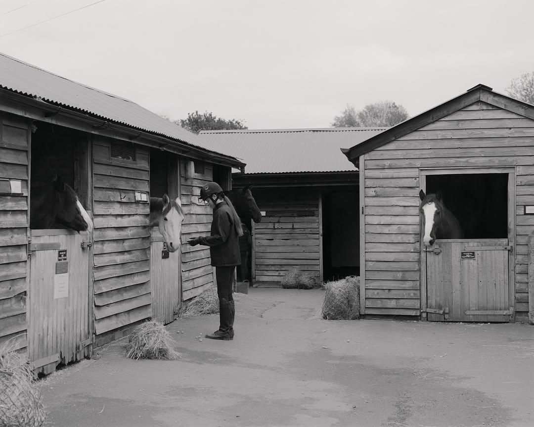 ENNOY『Padded Nylon Coach Jacket』のWEB抽選が11月16日(日)に開催