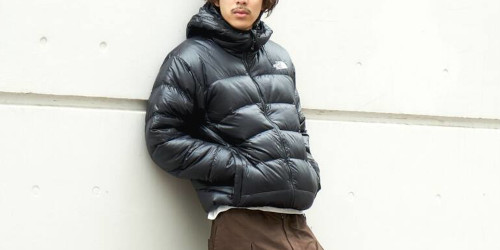 THE NORTH FACE『Aconcagua Hoodie 2025FW』のMAX25%%OFF セールが開催