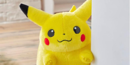 ポケットモンスター ポケモン30周年記念 おかえり!ピカチュウ1/1