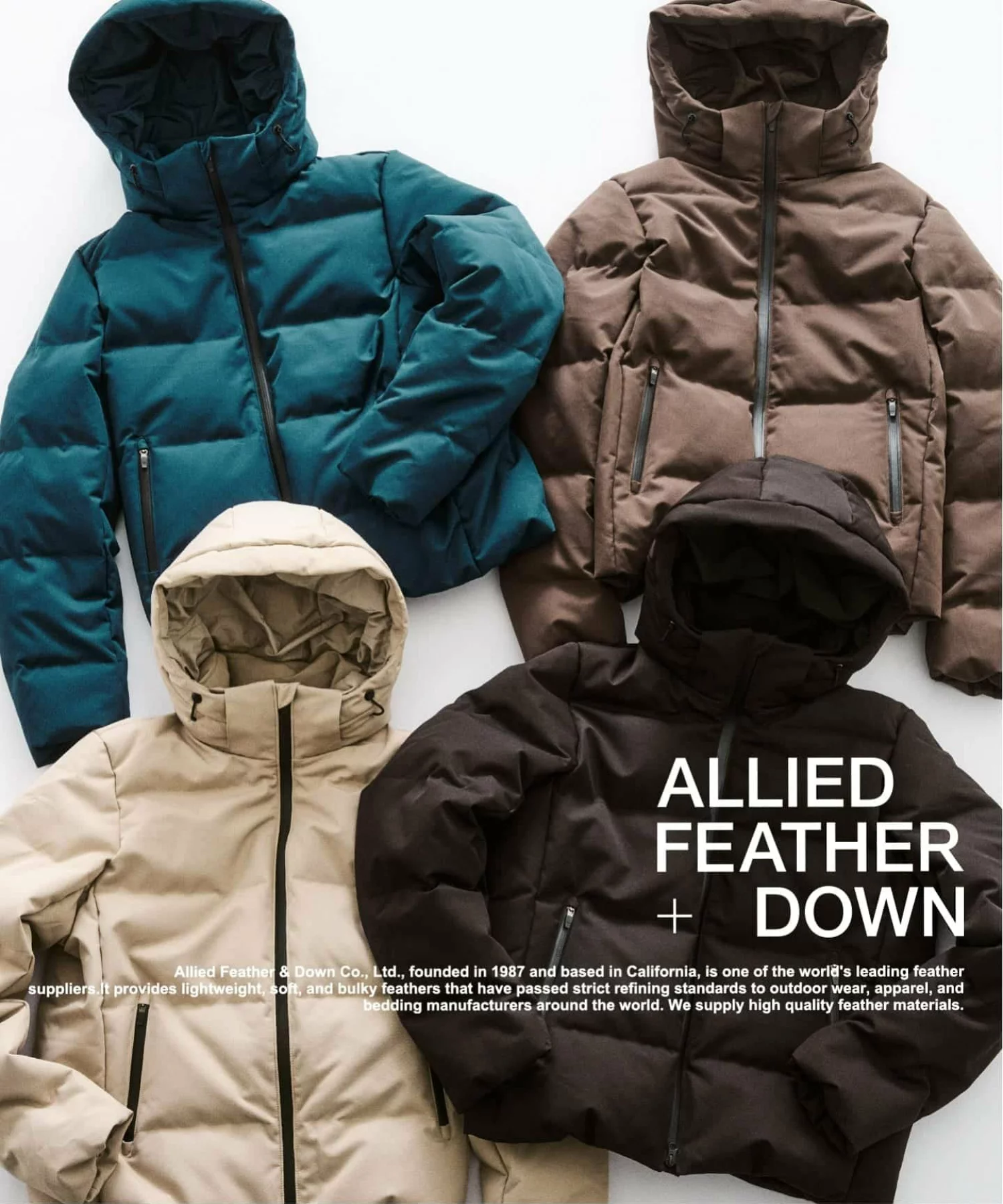 417 ÉDIFICE × Allied Feather + Down 26FW『ダウン ブルゾン』のオンライン先行予約が開始