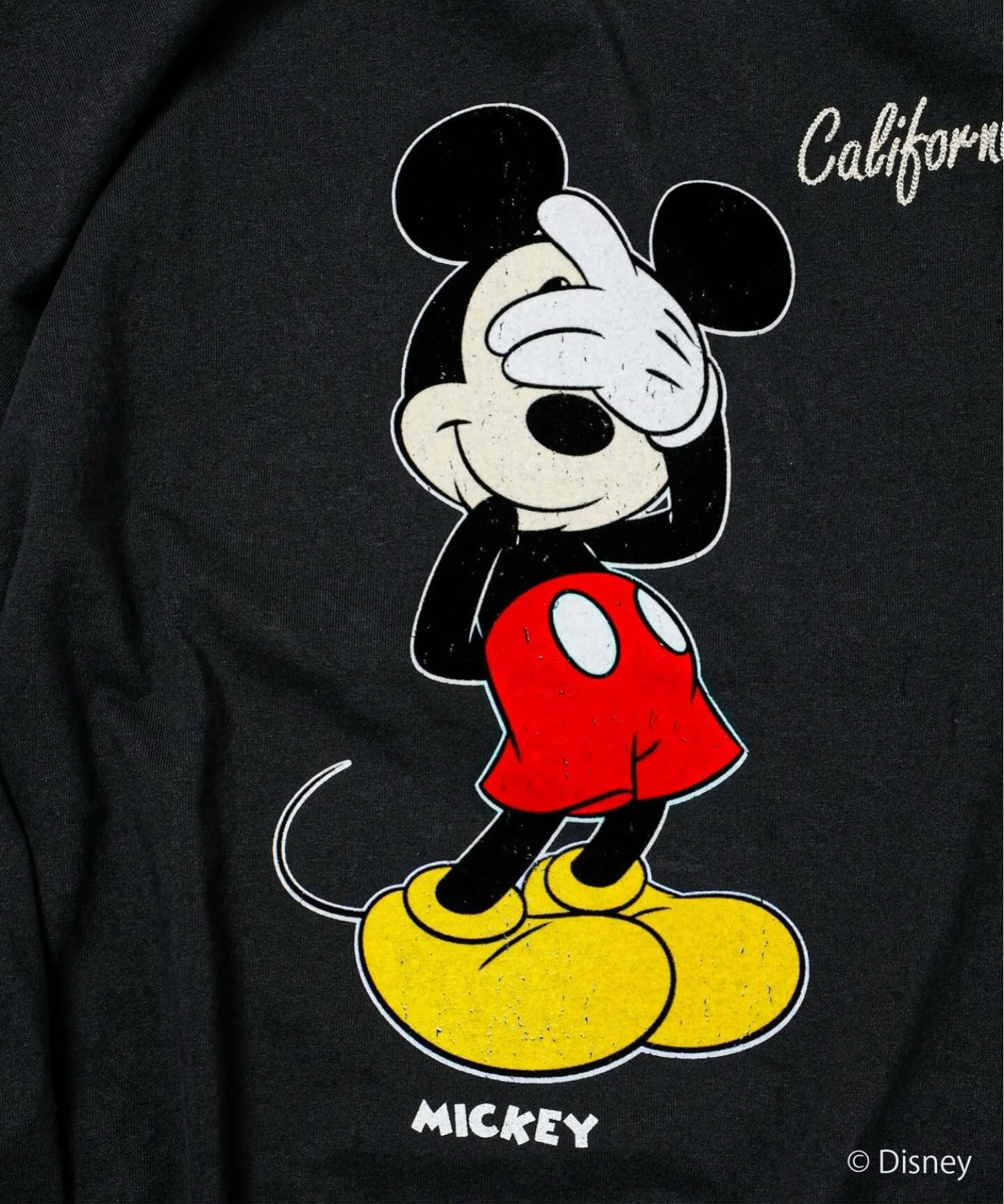 JOURNAL STANDARD relume × MICKEY & FRIENDS『ヴィンテージ加工 キャラクター ロンT』の先行予約が開始