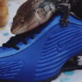 Corteiz × NIKE SHOX R419 が公開