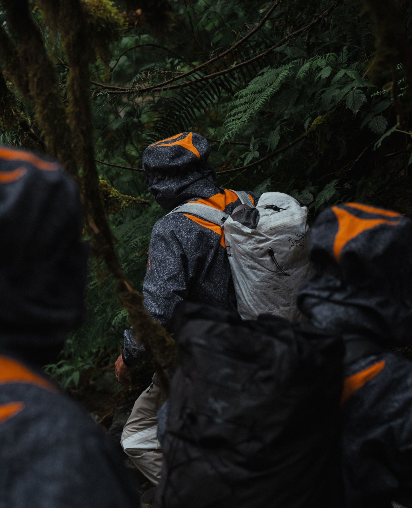 ARC’TERYX より新作コレクション『Walk Gently “セイリッシュの冬”』が発売